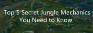 Top 5 Secret Jungle Tips You Need to Know