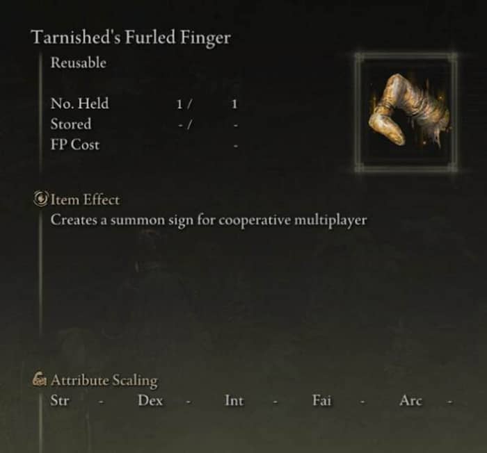 Elden Ring Multiplayer-2