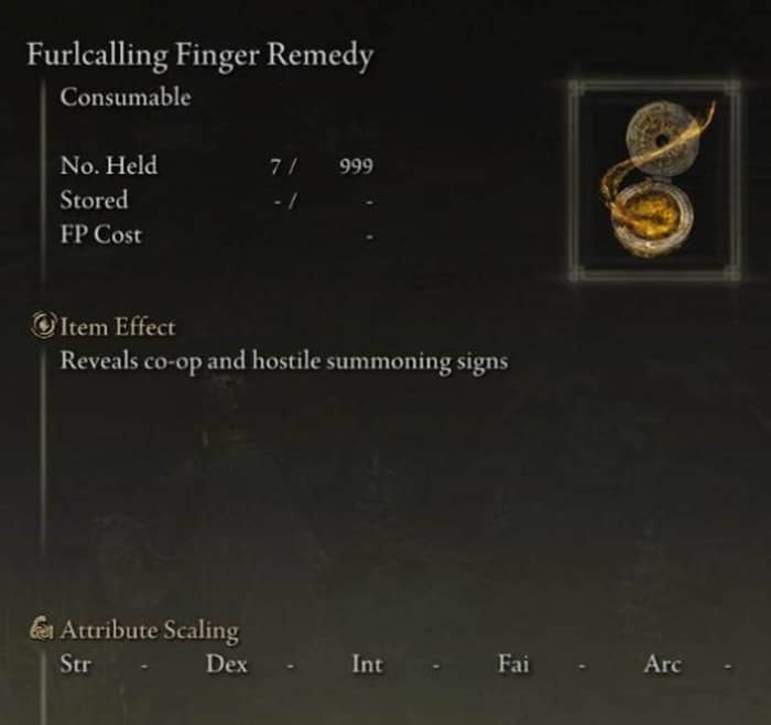 Elden Ring Multiplayer-3