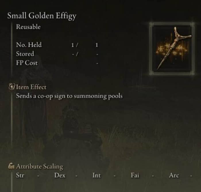 Elden Ring Multiplayer-4