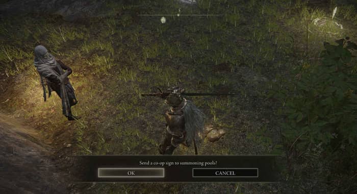Elden Ring Multiplayer-5