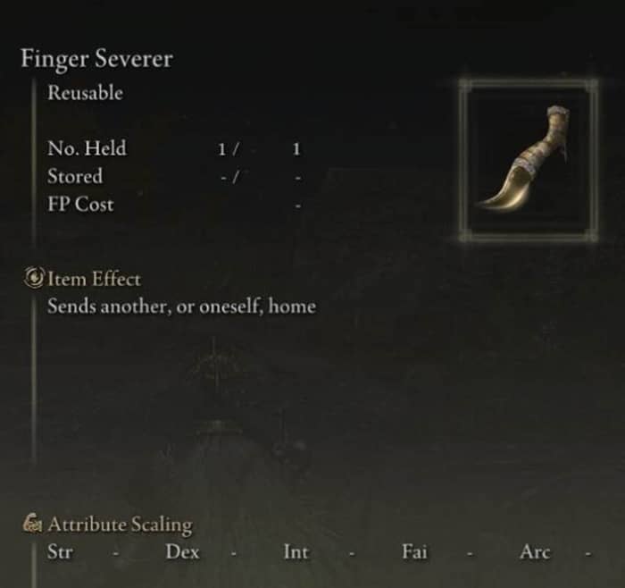 Elden Ring Multiplayer-6