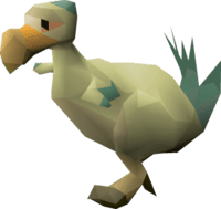 OSRS Chompy Bird Killing x 100