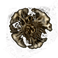 Runes (M)